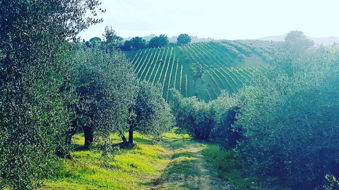 Agriturismo Sant'Ellero San Casciano in Val di Pesa Exteriér fotografie