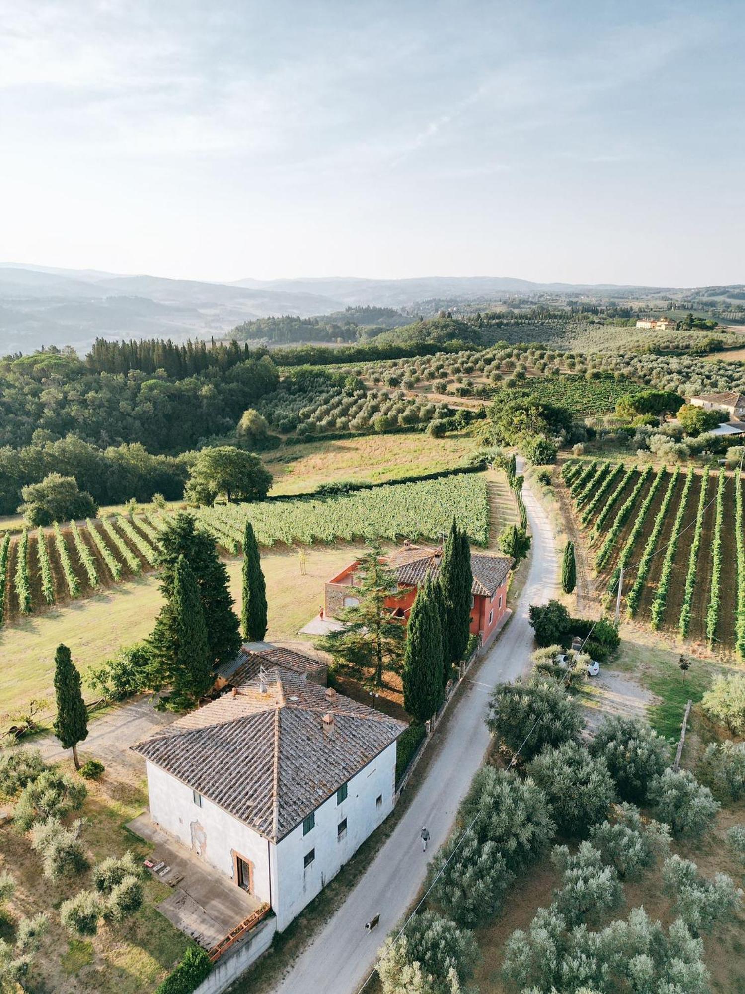 Agriturismo Sant'Ellero San Casciano in Val di Pesa Exteriér fotografie